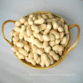 Chinese New Crop Washed Peanut Inshell